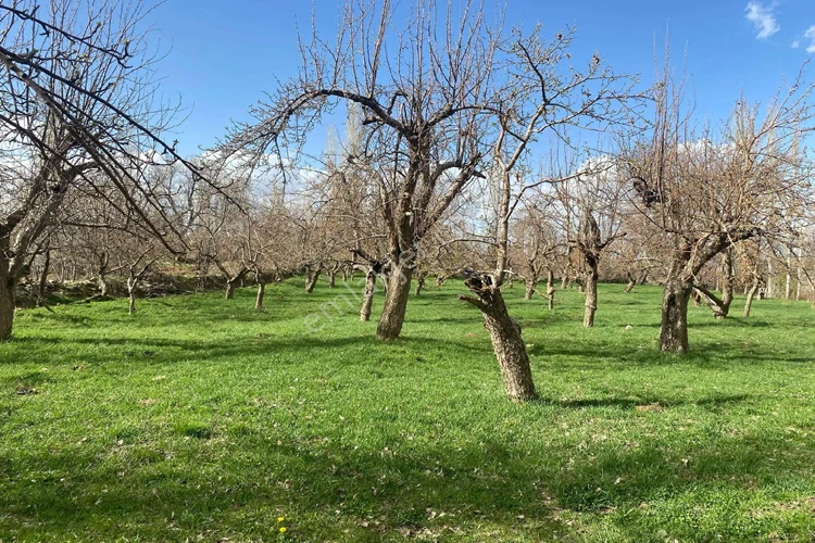 Kayapınar Bağ Bahçe Alım Satım